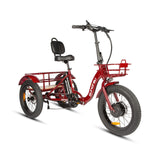 New-Trike 2.0