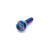 Titanium M6 Bolts (Collective)